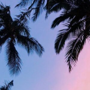 Apprentice Membership