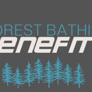 Shinrin-Yoku The Art of Forest Bathing Course