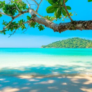 Lifetime Apprentice Member